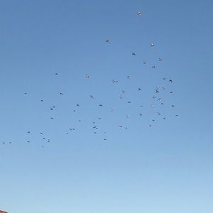 Meet your Posher, Fernando